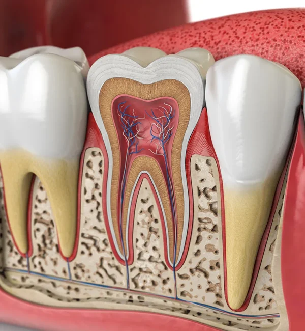 69de67f847c9a80a7f42fa1e_service-thumbnail-root-canal-therapy